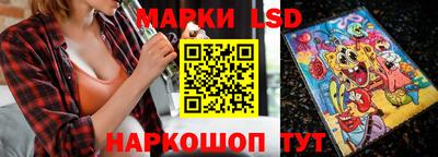 индика Аргун