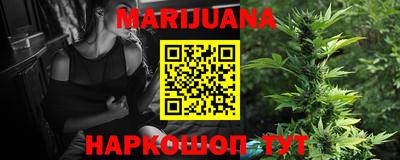 индика Аргун