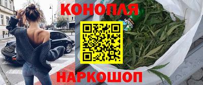 индика Аргун