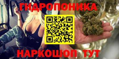 прущие грибы Тверь